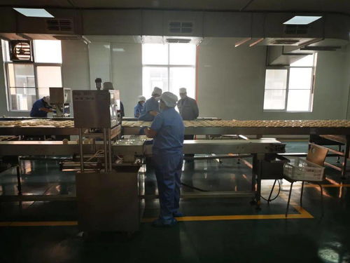 陜西五大供應(yīng)鏈行業(yè)標(biāo)桿企業(yè)創(chuàng)始人齊聚，分享數(shù)字化轉(zhuǎn)型之路與西安網(wǎng)站建設(shè)經(jīng)驗(yàn)